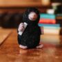 Mr Mole Needle Felting Craft Kit, thumbnail 2 of 3