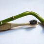 Sonic Wave Electric Bamboo Toothbrush, thumbnail 6 of 7
