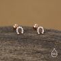 Sterling Silver Cz Horseshoe 18 G Screw Back Stud Earrings With Ball Backs, thumbnail 5 of 11
