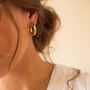 Chunky 14k Gold Or Silver Thick Hoop Earrings, thumbnail 1 of 11