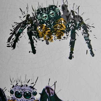 Spider Happy Birthday Greeting Card, 2 of 5
