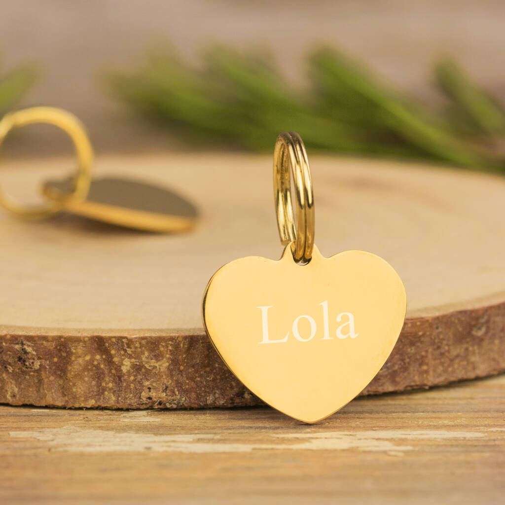 Gold Heart Steel Pet ID Tag, 1 of 3