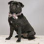 The Siddington Pink Checked Dog Collar Bow Tie, thumbnail 5 of 5