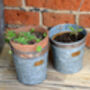 Croxton Vintage Plant Pots Set Of Three, thumbnail 3 of 4