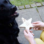 From The Dog Personalised Wooden Star Keepsake, thumbnail 1 of 2
