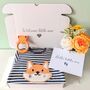 New Baby Fox Sleepsuit And Teether Gift Set, thumbnail 1 of 6