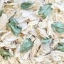 Ivory And Green Wedding Confetti | Biodegradable Petals, thumbnail 1 of 4