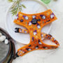 Trick Or Treat Harry Halloween Dog Harness, thumbnail 1 of 10