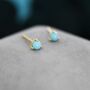 Genuine Turquoise Stone Stud Earrings Sterling Silver, thumbnail 2 of 12