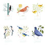 2024 Illustrated Birds Desk Calendar, thumbnail 4 of 4