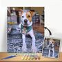 Personalised Pet Portrait Photo Custom Paint By Numbers, thumbnail 1 of 3