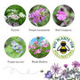 25 Personalised Wildflower Seed Ball Seed Gifts, thumbnail 5 of 10