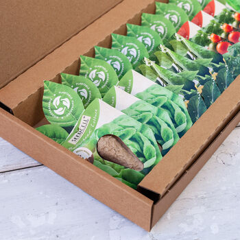 Salad Patch Seedcell Selection Box, 11 of 12