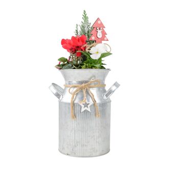 Festive Milk Churn Planter Snowy Conifer And Winter Blooms, 2 of 2