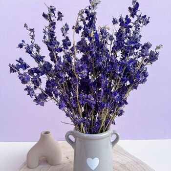 Blue Dried Delphiniums With Vase Gift, 2 of 4