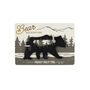 Great Plains Bear Shape Multi Tool On Backing Card | Gadget | Fathers Day | Novelty Gift | Practical Tool | Handy Tool, thumbnail 1 of 4