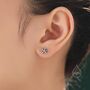 Oxidise Sterling Silver Star Fish Stud Earrings, thumbnail 1 of 12