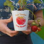 Shiny Apples Personalised Teacher Plant Pot Gift, thumbnail 1 of 5