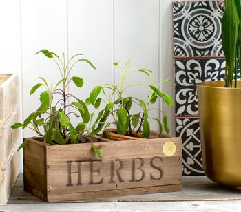 personalised herb planter by the forest & co | notonthehighstreet.com