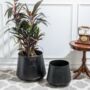 Large Planters Black Floor Mounted, thumbnail 1 of 4