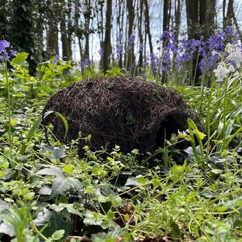 Biscuit The Hedgehog Brushwood House With Nesting Straw, 5 of 7