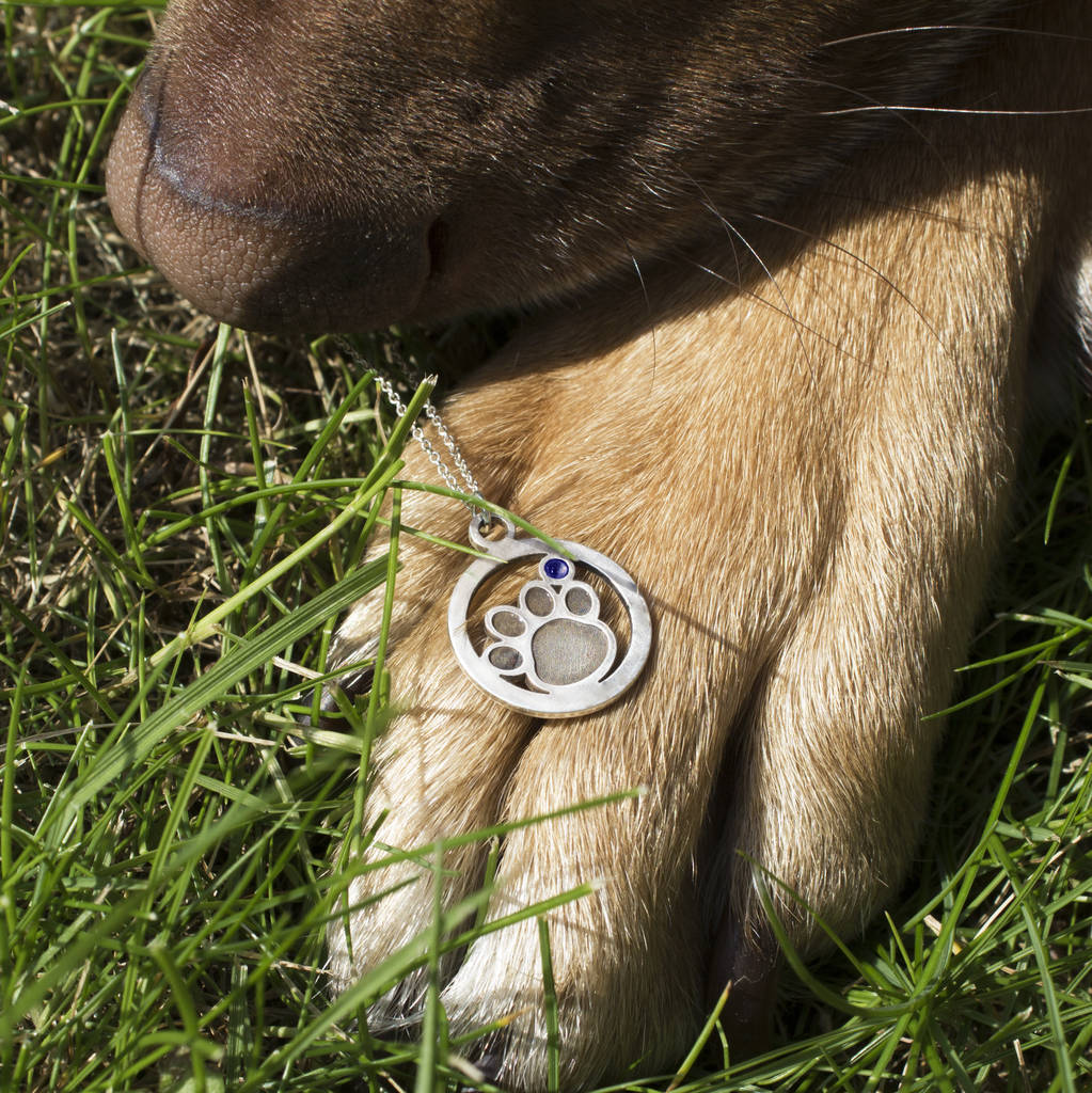 Pet Name Engraved Necklace Pet Name Engraved Necklace
