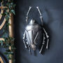 Silver Decorative Wall Beetle, thumbnail 1 of 2