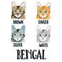 Personalised Blanket Gift For Cat Lovers, thumbnail 4 of 9