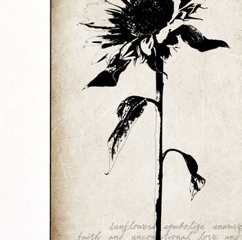 Sunflower Botanical Series Fine Art Print, 4 of 7