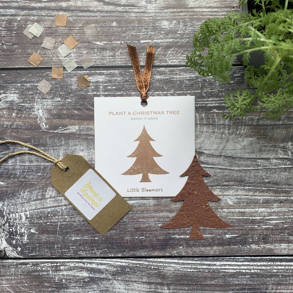 Plant A Christmas Tree Seed Paper Card, 1 of 9