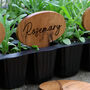 Personalised Wooden Plant Marker, thumbnail 1 of 2