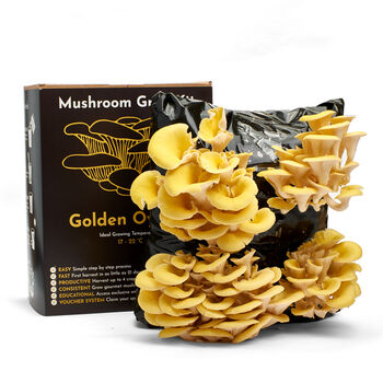 Oyster Mushroom Growing Kit – Gift Option, 2 of 12