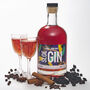Make Your Own Hedgerow Sloe Gin, Makes Two Bottles, thumbnail 1 of 5