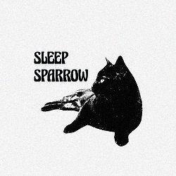 Sleep Sparrow Logo