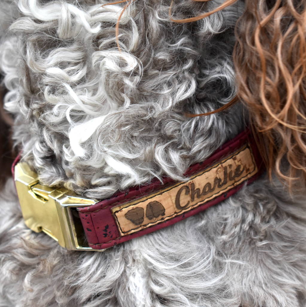 Personalised Cork Dog Collar By Two Dogs & Co | notonthehighstreet.com