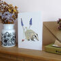 Badger Any Occasion Greeting's Card, thumbnail 5 of 5