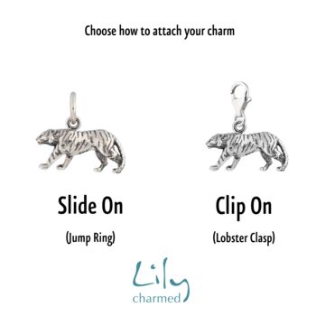 Selection Of Sterling Silver Animal Charms, 2 of 7