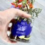 Personalised 'Don't Kill Me' Wildflower Jar Grow Kit, thumbnail 6 of 7