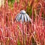 Recycled Metal Echinacea Flower Garden Stake Decoration, thumbnail 3 of 4