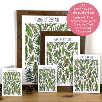 Ferns Of Britain Greeting Card, 3 of 7