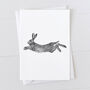 Hare Gift Wrap Pack With Card Option, thumbnail 4 of 6
