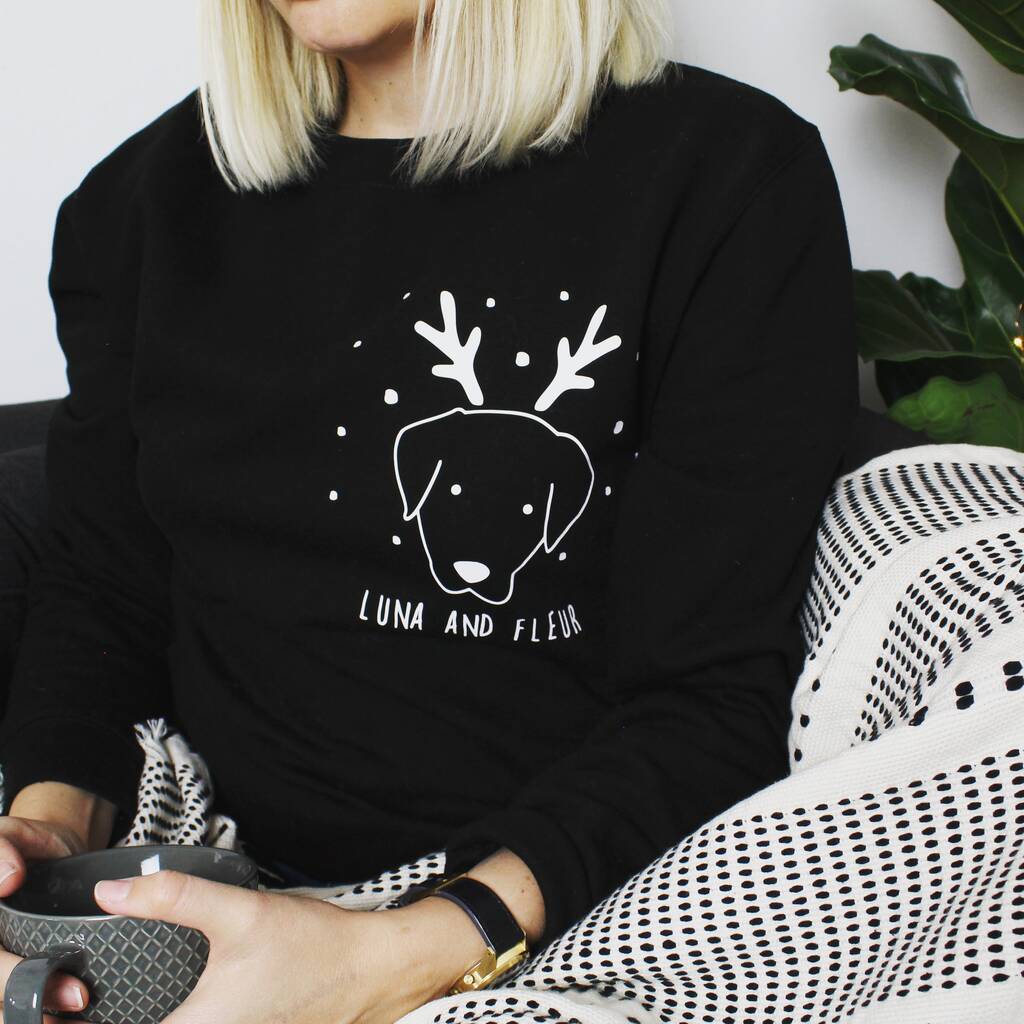 Personalised Dog Christmas Sweatshirt Jumper By Heather Alstead Design