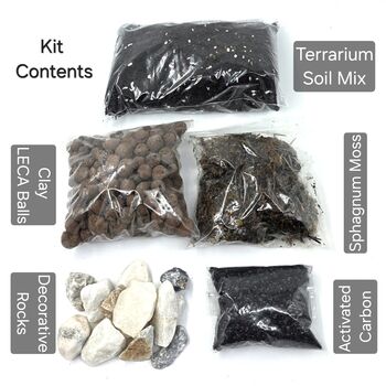Diy Moss Terrarium Kit Glass Biodome With Live Plants, 2 of 9