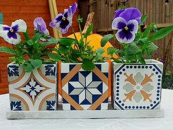 Portuguese Tiled Three Square Pots On Tray, 3 of 11
