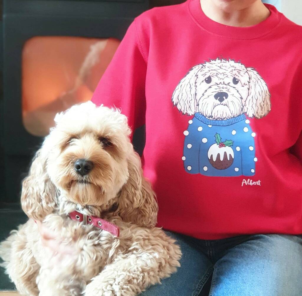 Personalised Christmas Pudding Dog Jumper Sweater By Syd&amp;Co