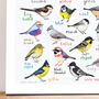 'Tits Of The World' Bird Art Print, thumbnail 3 of 4