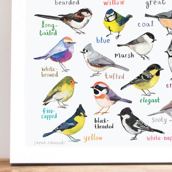 'Tits Of The World' Bird Art Print, 3 of 4