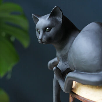 Black Cat Shelfie, Shelf Sitter, 5 of 7