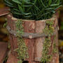 Meadow Valley Windmill Bird House Planter, thumbnail 5 of 11