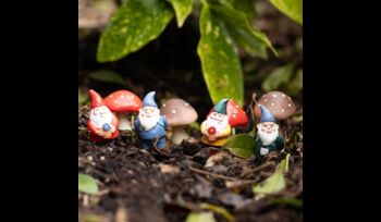 Garden Gnomes Set, 5 of 6